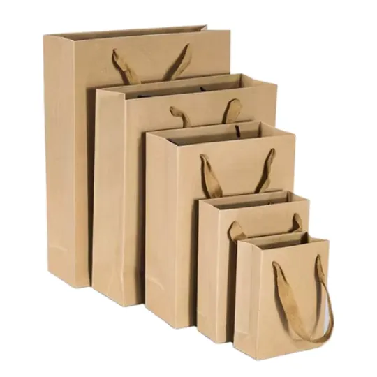 Craft Paper Bags