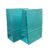 Paper Bag