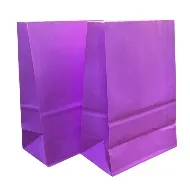 Paper Bag