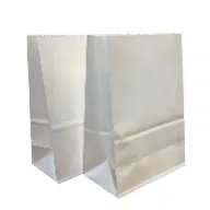 Paper Bag