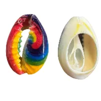 Cowrie