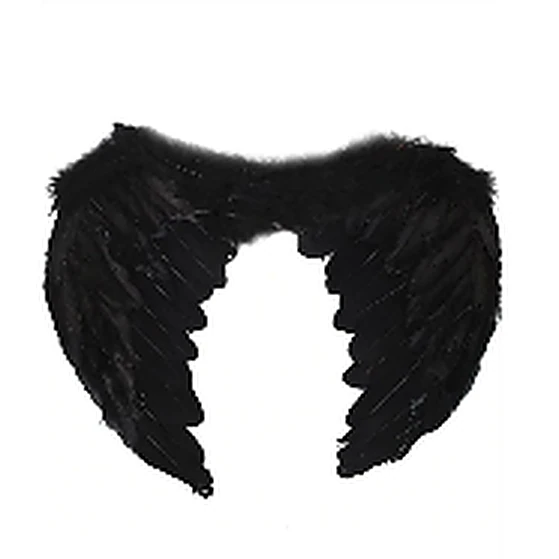 angel feather wings